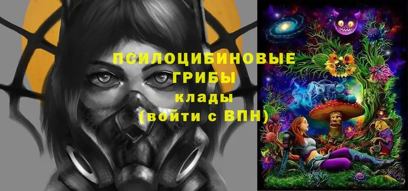 Галлюциногенные грибы Magic Shrooms  маркетплейс клад  Ишим 